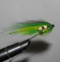 ���� ������� ���� TD Green ( ��� ������ )